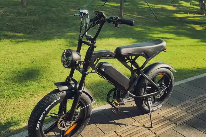 types of electric cycles for adults