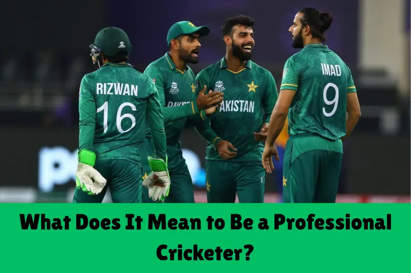what does It mean to be a professional cricketer
