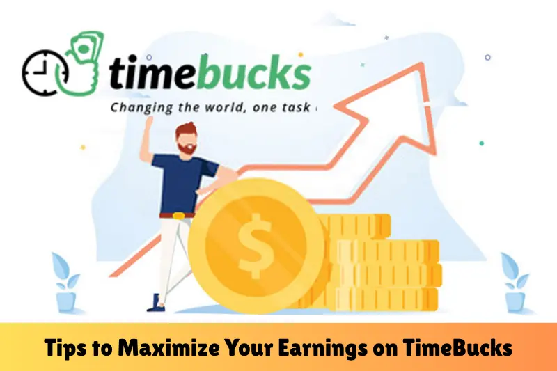 tips to maximize your earnings on timebucks